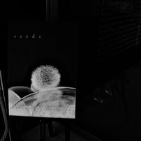 CANON(キヤノン)のデジタルカメラPowerShot G2 で撮影した写真(画像