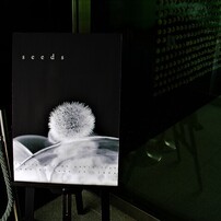 CANON(キヤノン)のデジタルカメラPowerShot G2 で撮影した写真(画像