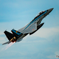 NIKON(ニコン)のレンズ AF-S NIKKOR 200-400mm f/4G ED VR II で撮影