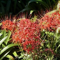 MINOLTA(ミノルタ)のデジタルカメラDiMAGE S304 で撮影した写真(画像