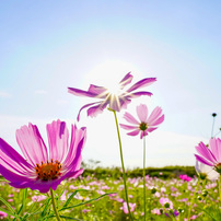 TAMRON(タムロン)のレンズ 24mm F/2.8 Di III OSD M1：2 (Model F051