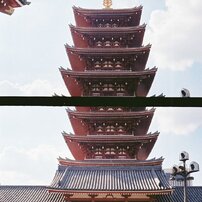 OLYMPUS(オリンパス)のフィルムカメラPEN EE2 で撮影した写真