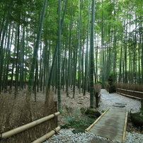 TOKINA(トキナー)のレンズ AT-X 16-28 F2.8 PRO FX 16-28mm F2.8