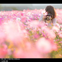 COSINA(コシナ)のレンズ Carl Zeiss Planar T* 1.4/85 ZE で撮影した