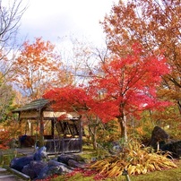 11月紅葉の思い出