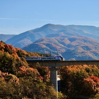 紅葉の河を渡る