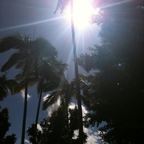 Cairns QLD,Australia