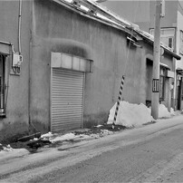 CANON(キヤノン)のデジタルカメラPowerShot G2 で撮影した写真(画像