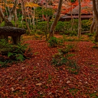 NIKON(ニコン)のレンズ AF-S NIKKOR 24mm f/1.4G ED で撮影した写真