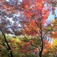 ⭐️風景写真にオススメ⭐️広角レンズ⭐️Canon EF 20-35mm USM ジャンク】3000円でこの描写！？お買い得広角ズームレンズ
