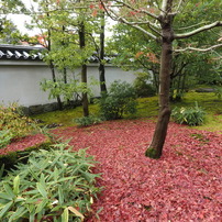 姫路城西御屋敷跡庭園 　好古園　　紅葉