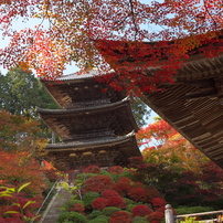 湖南三山の紅葉景