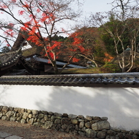 天野山金剛寺～長野公園天野山地区・晩秋の朝（ 2022年12月2日・金曜日）