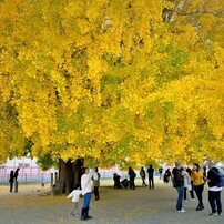 人の居る光景　2