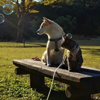 極美品❤️Nikon D5100❤️高画質❤️動画撮影❤️初心者おすすめ❤️ デジタルカメラ 即納特価品
