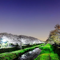 夜景・星景散歩