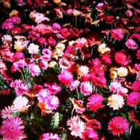 GALAXY×FX Camera
