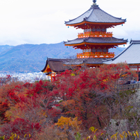 20221130清水寺＿３