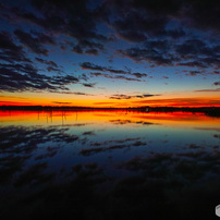 SIGMA(シグマ)のレンズ 10-20mm F4-5.6 EX DC HSM (ｼｸﾞﾏ AF) で撮影