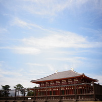 SIGMA(シグマ)のレンズ 19mm F2.8 EX DN [ソニー用] で撮影した写真