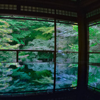 SIGMA(シグマ)のレンズ 10mm F2.8 EX DC FISHEYE HSM (ﾆｺﾝ用) で撮影