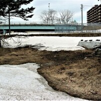 CANON(キヤノン)のデジタルカメラPowerShot G2 で撮影した写真(画像