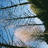 PENTAX(ペンタックス)のフィルムカメラESPIO 120SW II で撮影