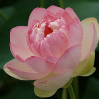 2013年07月