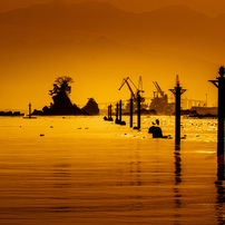 雨晴海岸の写真(画像)・写真集 - 写真共有サイト:PHOTOHITO