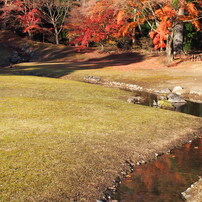 2013　毛越寺庭園