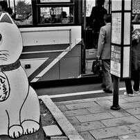 CANON(キヤノン)のデジタルカメラPowerShot G2 で撮影した写真(画像