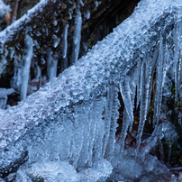 Canon EOS 5D mark IV 一眼レフカメラ(作例あり) Canon/キヤノンEOS 5D Mark IVは、歴史的完成形。殿堂入り