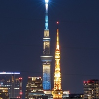 スカイツリー×東京タワー