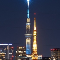 東京夜景