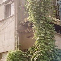 CANON(キヤノン)のフィルムカメラII S改(2S改)型 で撮影した写真(画像