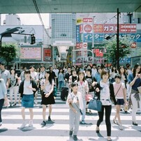 フィルム1本付き fujifilm klasse クラッセ　作例あり FUJIFILM KLASSEシリーズを徹底解説。作例から中古価格・使い方