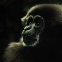 Zoo 2010-2011