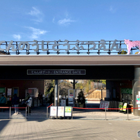 天王寺動物園 2023.1.11