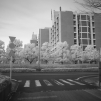 【作例あり】NIKON COOLPIX S6500 コンデジ 作例あり】NIKON COOLPIX S6500 コンデジ ニコン COOLPIX S6500