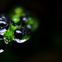 AQUart