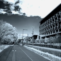 【作例あり】NIKON COOLPIX S6500 コンデジ 作例あり】NIKON COOLPIX S6500 コンデジ ニコン COOLPIX S6500