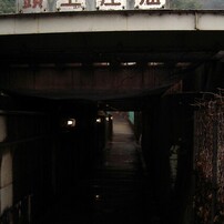 ３D撮影モード 作例有★PENTAX Optio 330GS CFアダプター付き