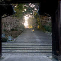 PANASONIC(パナソニック)のデジタルカメラLUMIX DMC-FX01 で撮影した