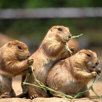 いきもの館