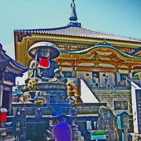 PANASONIC(パナソニック)のデジタルカメラLUMIX DMC-FX01 で撮影した