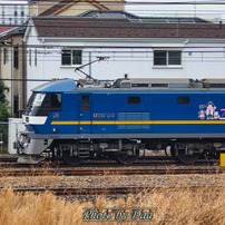 電車・汽車１９