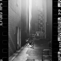 NIKON(ニコン)のフィルムカメラF100 で撮影した写真(画像)一覧- 写真