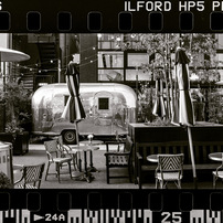 NIKON(ニコン)のフィルムカメラF100 で撮影した写真(画像)一覧- 写真