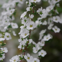 PENTAX(ペンタックス)のレンズ FA Jズーム18-35mmF4-5.6AL で撮影した