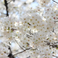 TAMRON(タムロン)のレンズ AF 24-135mm F/3.5-5.6 AD ASPHERICAL